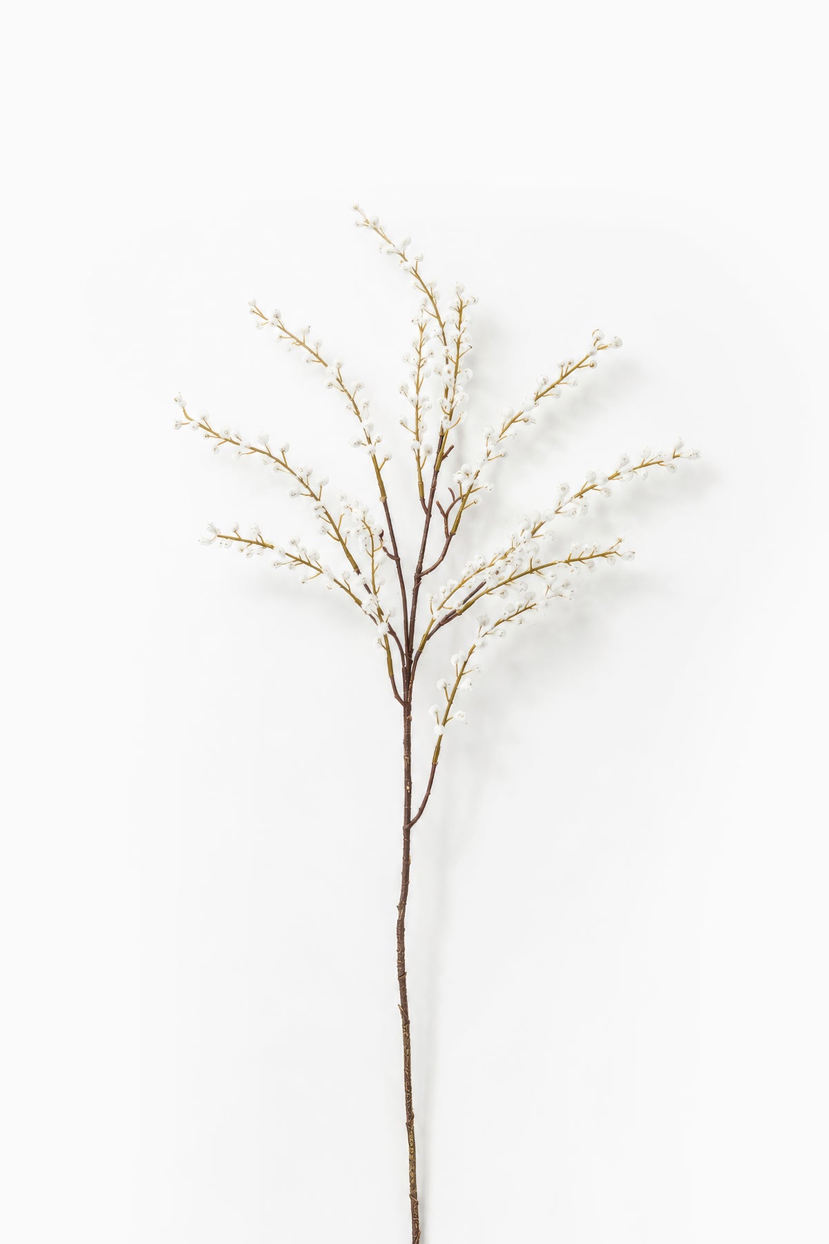White Willow Spray