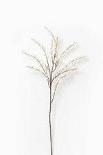 White Willow Spray