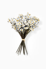Bouquet of white daisy flowers with green stems on a white background