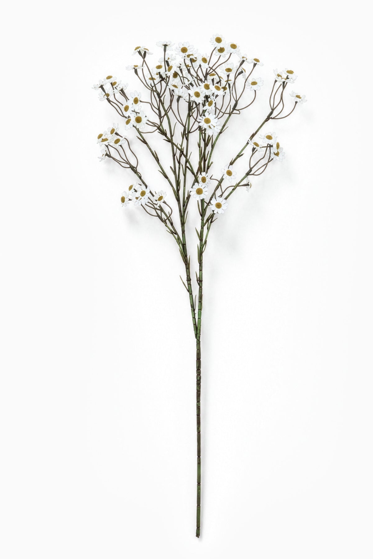 Artificial plant branch with small white daisy flowers on a white background