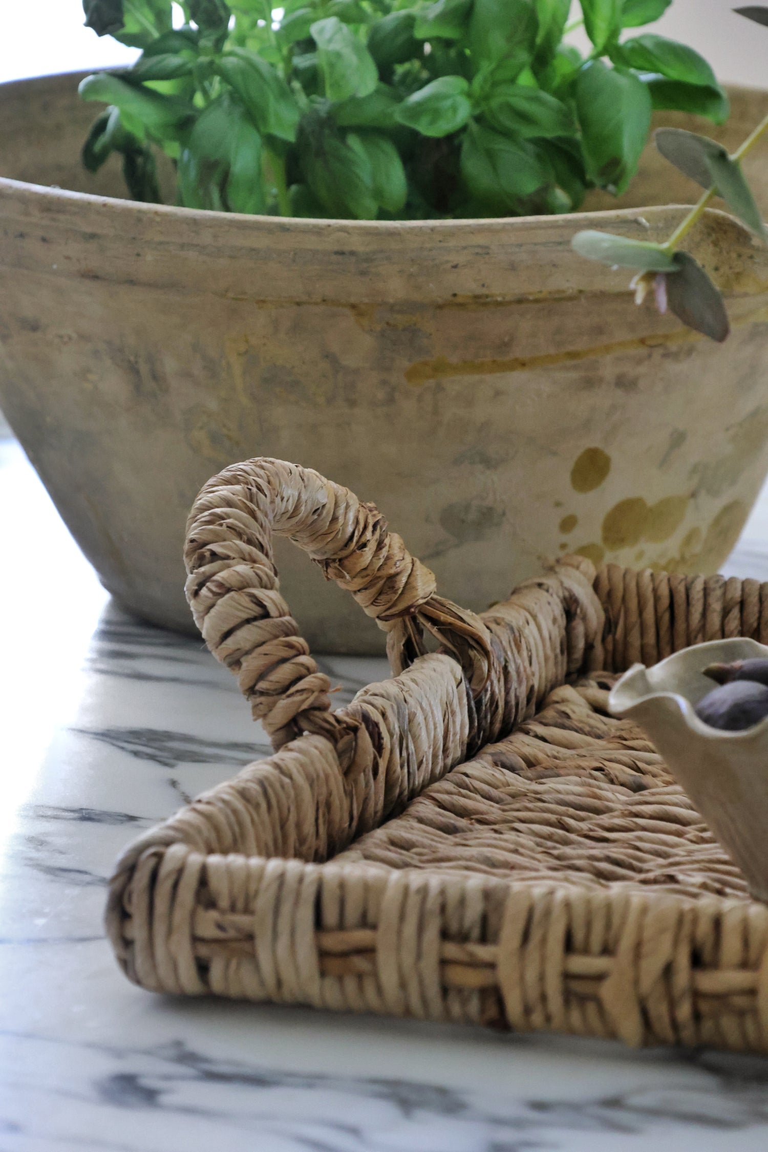 Close up of the handle of a woven banana bark tray with a basil plant behind it 