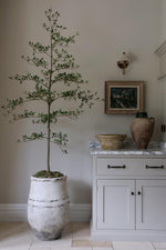 faux black olive tree in beige stone planter in a kitchen setting