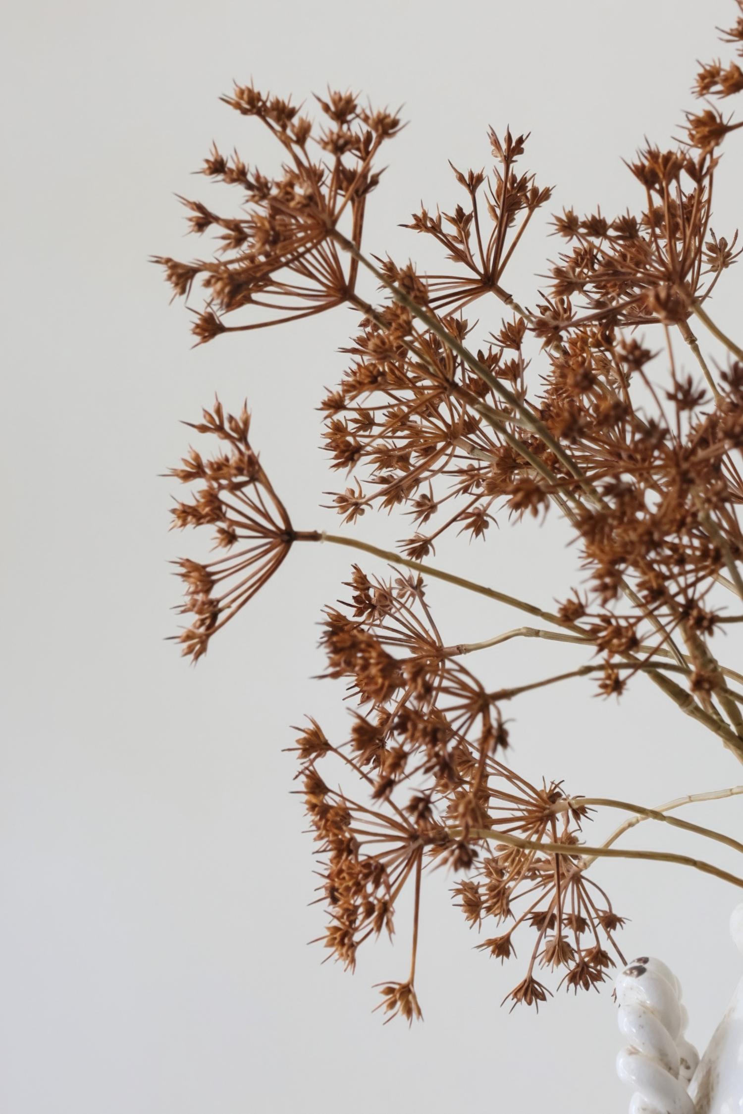 details of an brown artificial dried look flower stem 