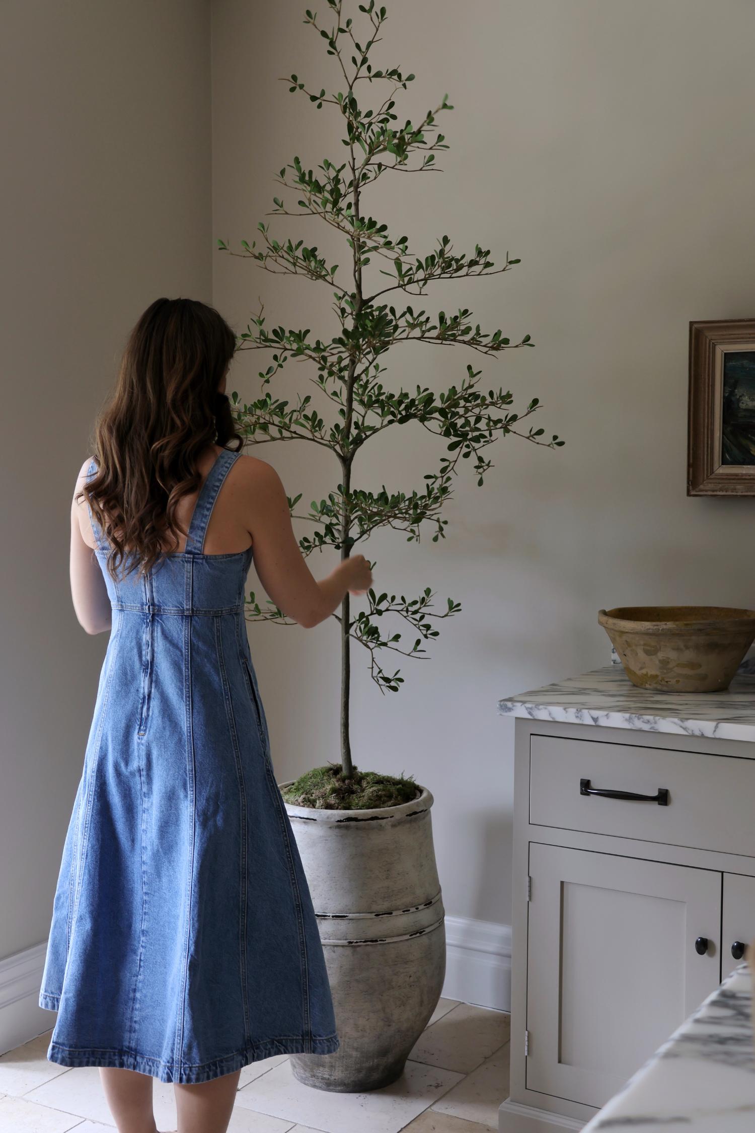 A woman in a blue denim dress stands with her back to the camera, holding a tall, thin potted olive tree with green leaves in a large planterinside a neutral-toned room.