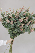 large bunch of artificial blush eucalyptus being held by womens hand