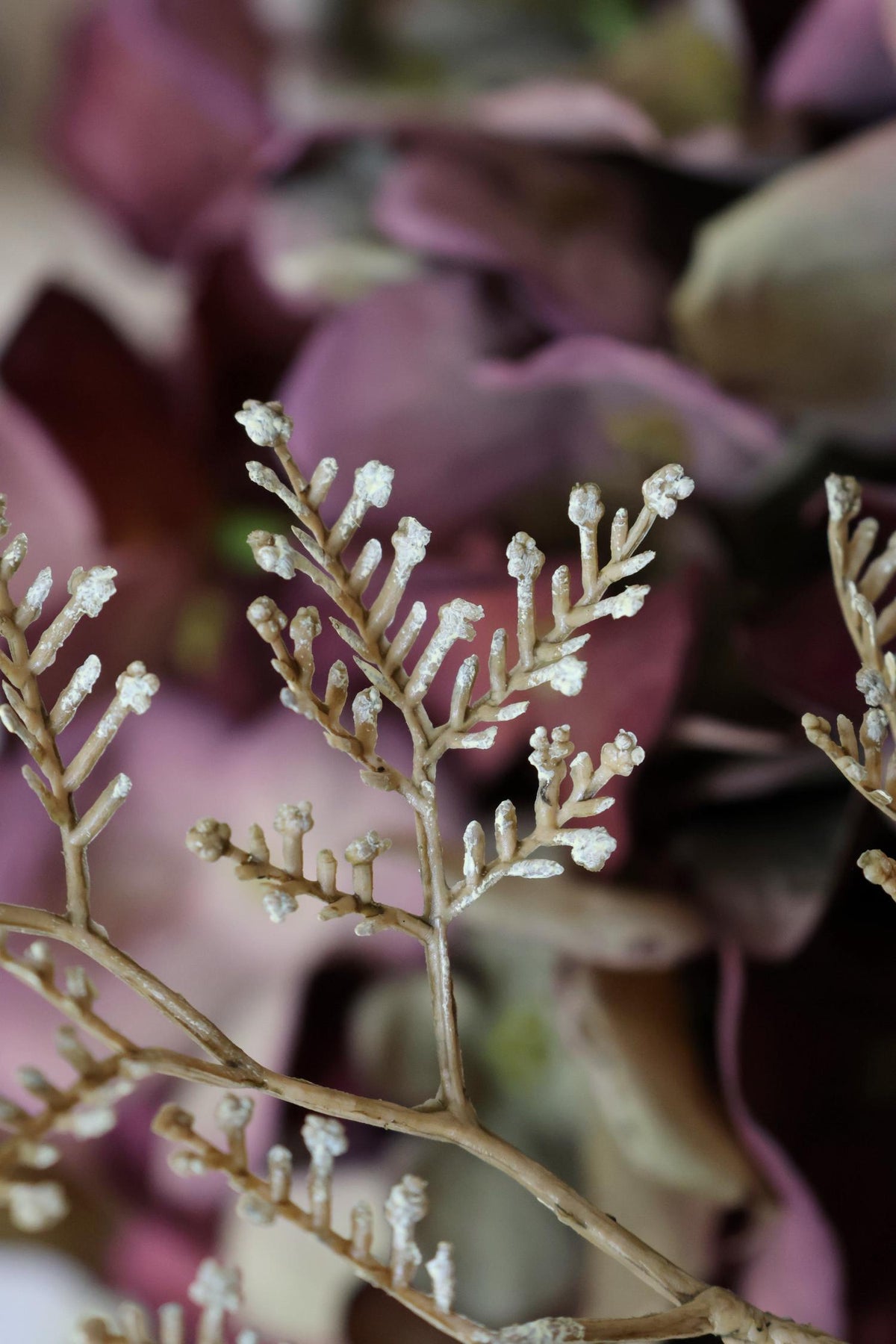 Close-up of dried artificial flowers with a blurred background