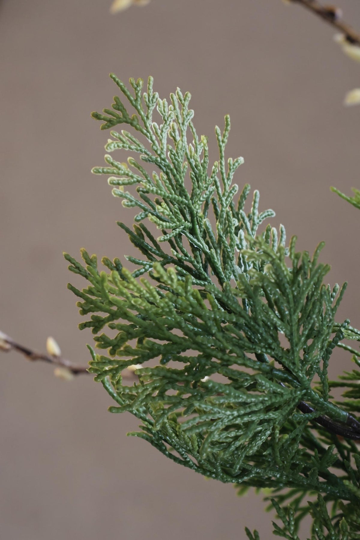 artificial green cypress branch