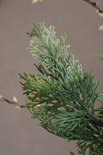 artificial green cypress branch