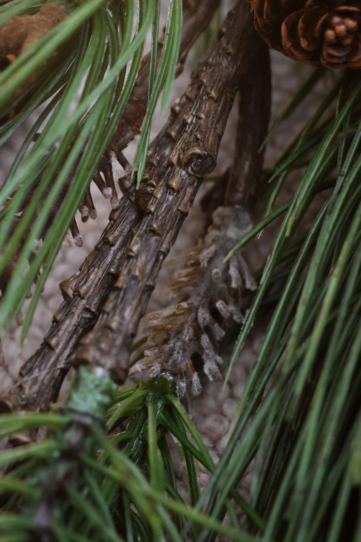 close up of an artificial branch 
