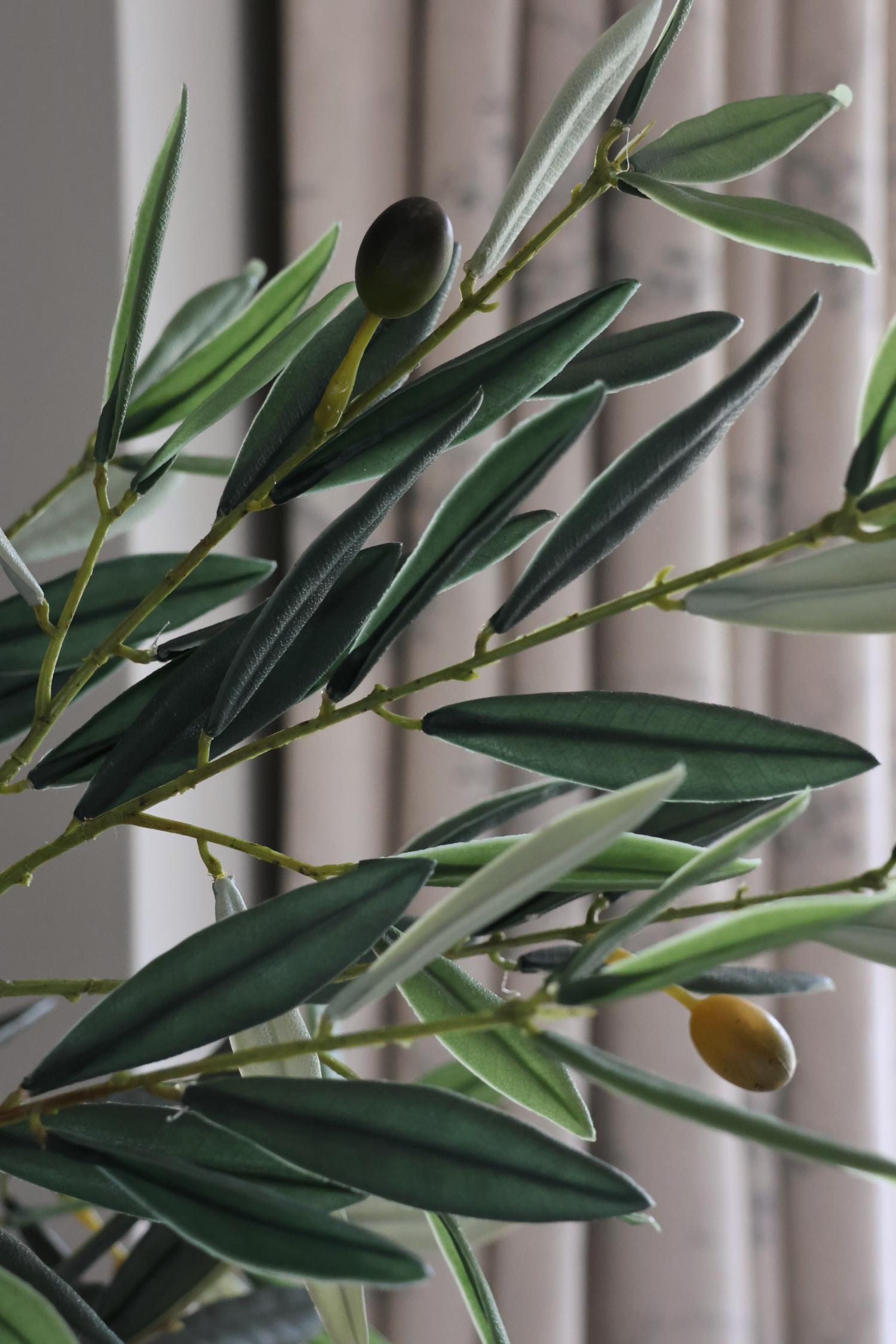 green artificial olive leaves and olives on plain background 