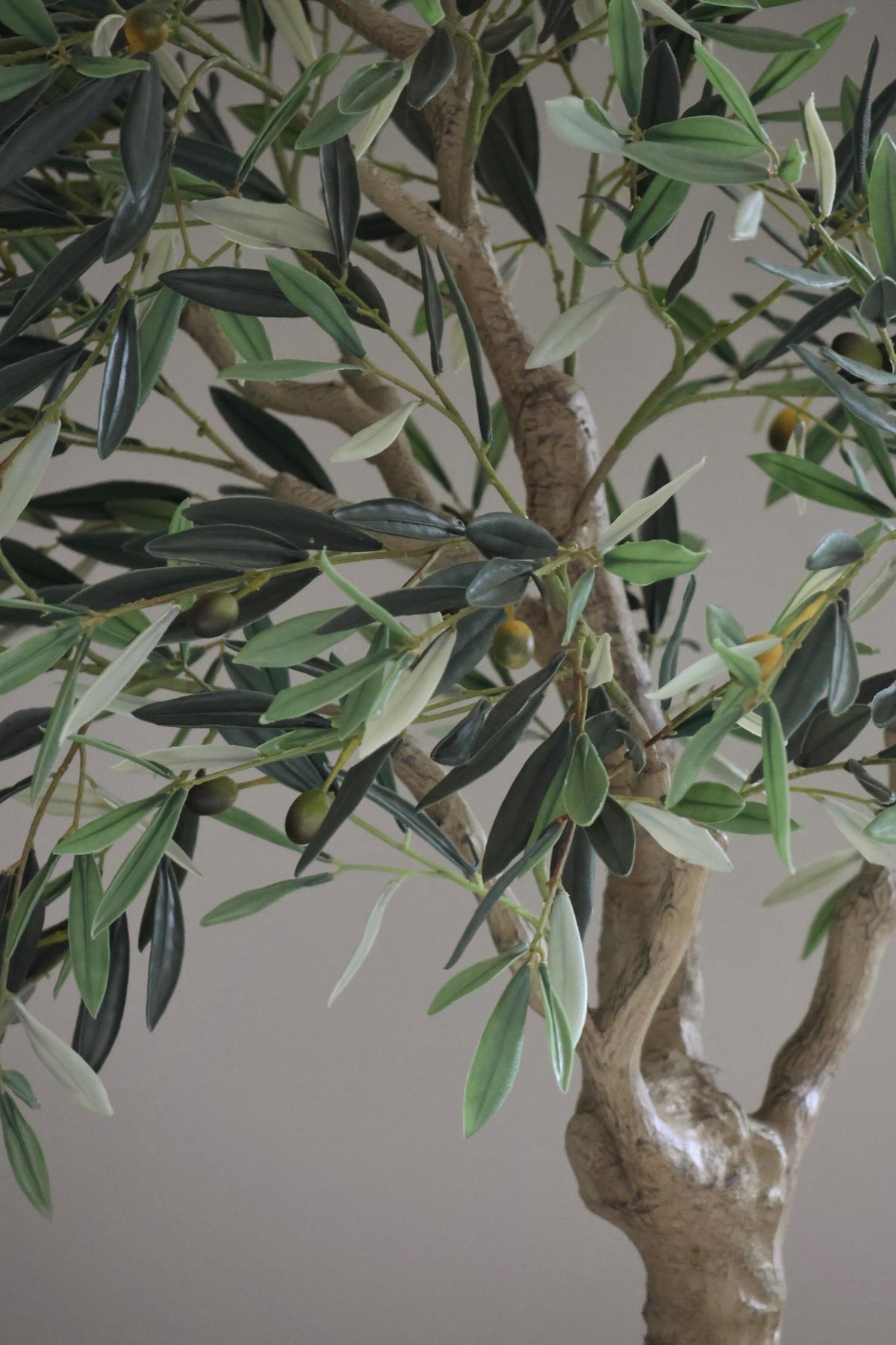 close up of an artificial olive tree with green leaves and a multi-stemmed trunk