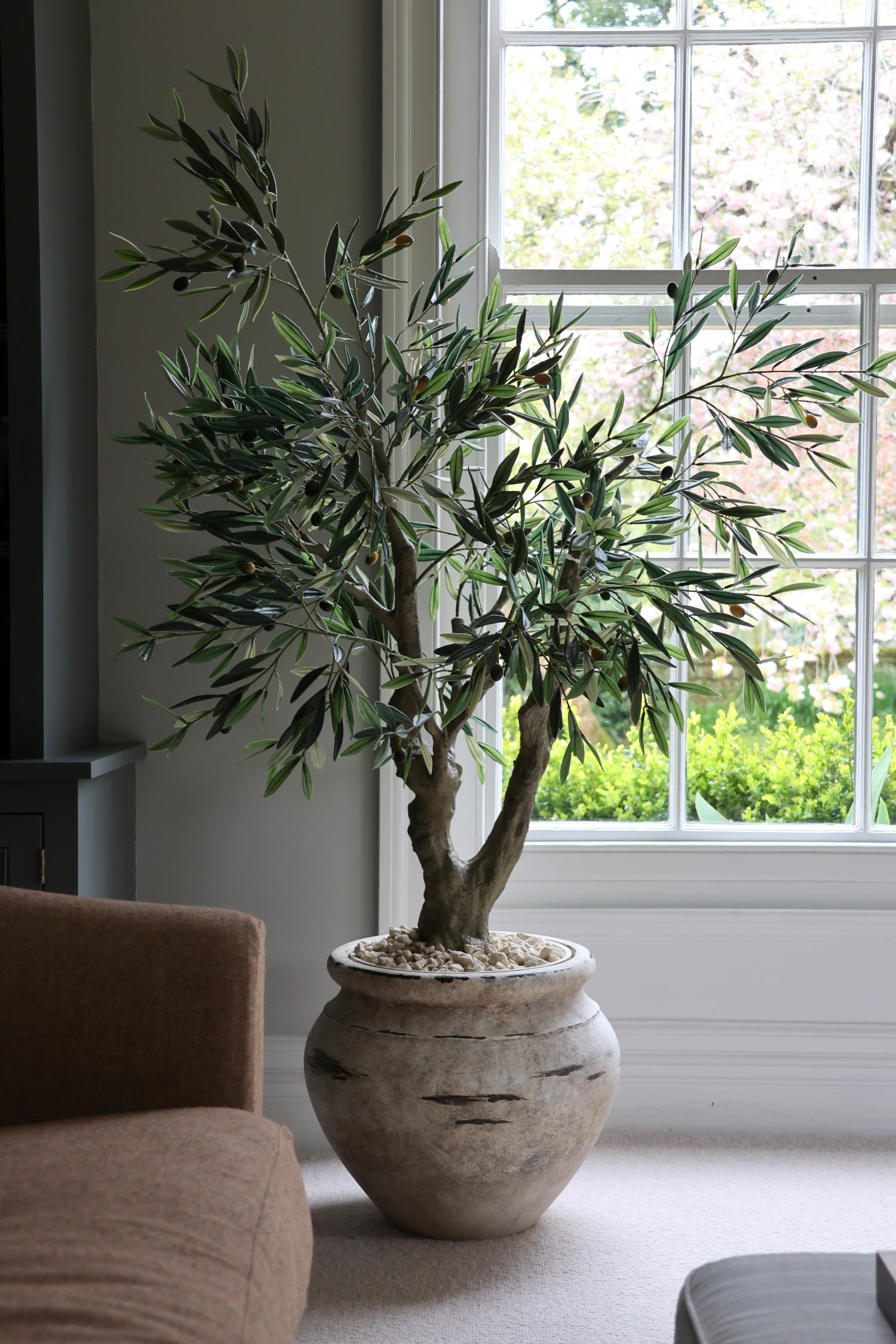 artificial olive tree in a rustic planter infront of an victorian window 