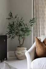 Artificial olive tree in large cream planter in a lounge setting 