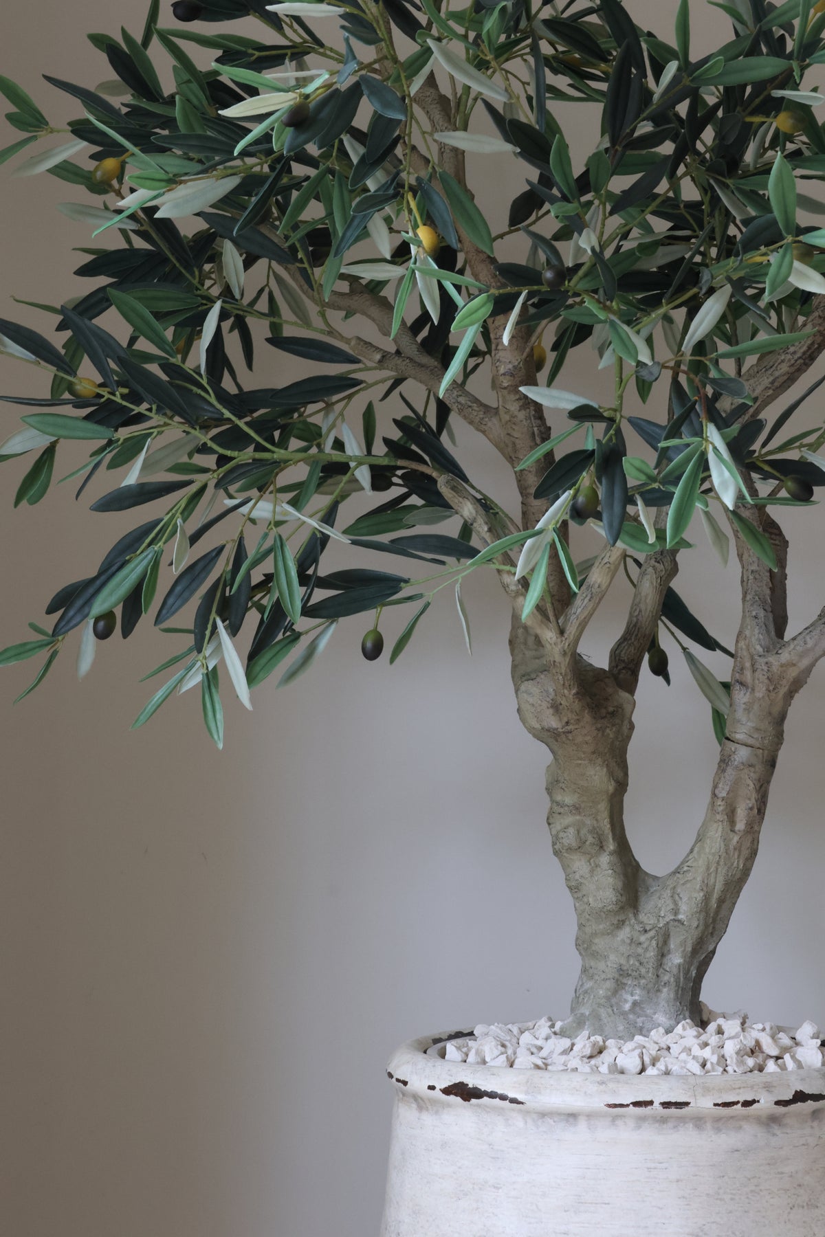 Potted artificial olive tree with green leaves and olives on a plain background