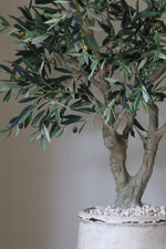 Potted artificial olive tree with green leaves and olives on a plain background