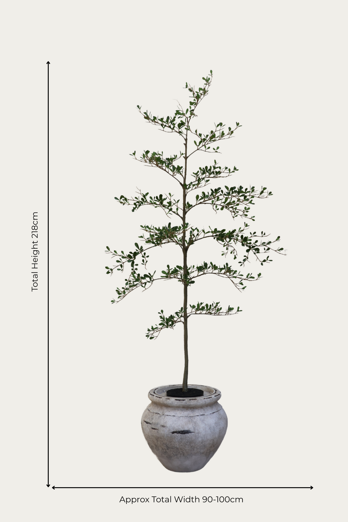 artificial shady lady tree in barrow planter on white background