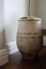 bucklesham ultra-lite planter topped with moss and a brown trunk in the corner of a home on tiles surface