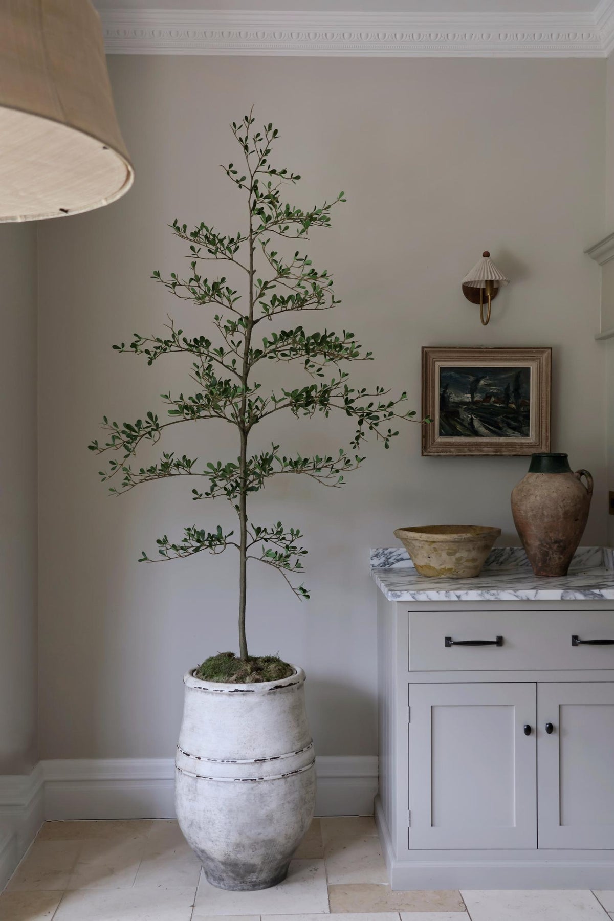 bucklesham ultra-lite planter and black olive tree next to kitchen units against a plain beige wall