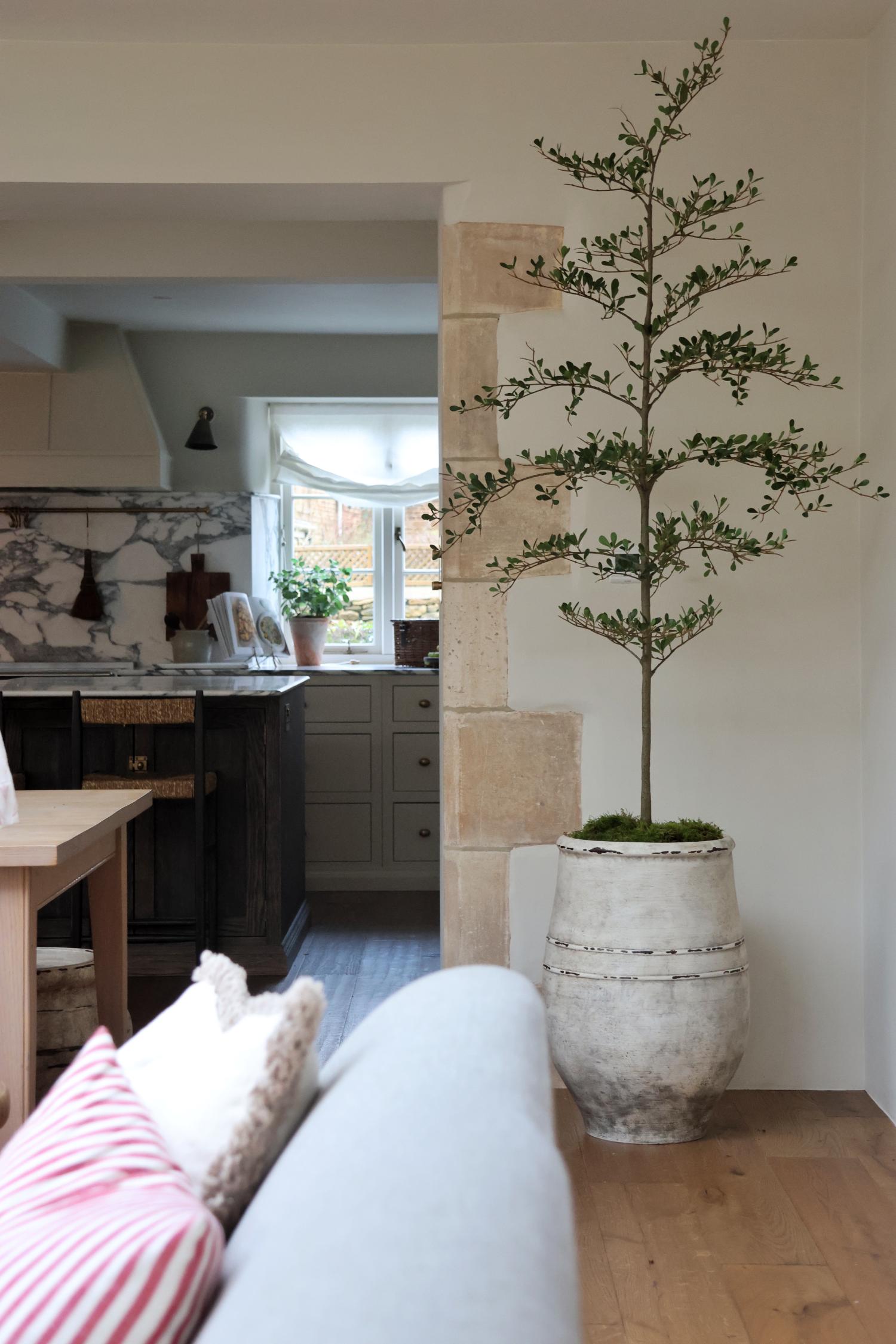 artificial black olive tree in stone effect planter in a kitchen setting 