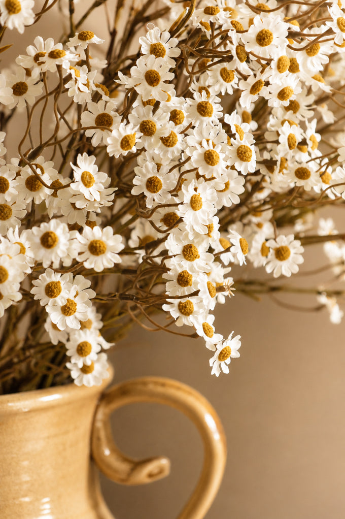 White daisy  flowers with yellow centers in a beige ceramic cup against a neutral background