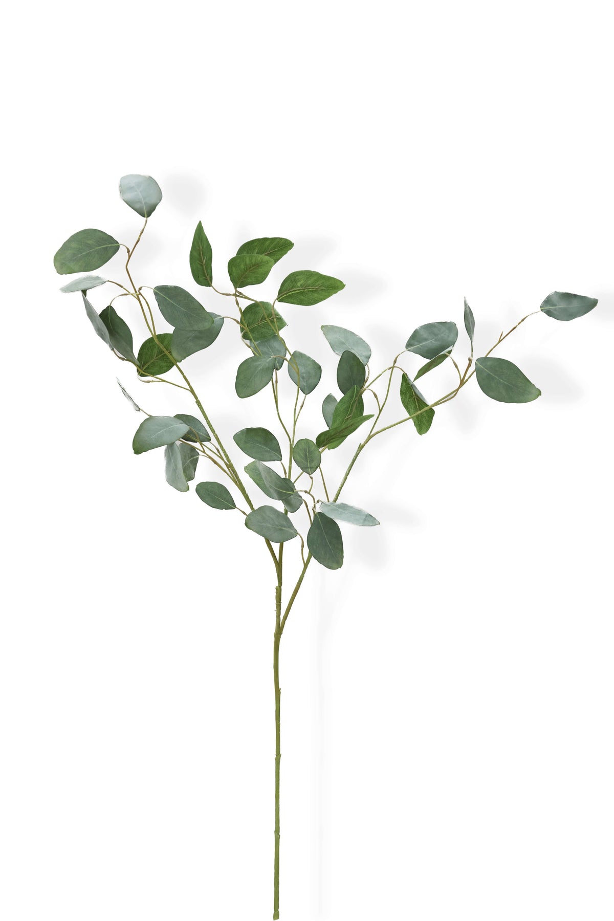 Artificial eucalyptus branch on a white background