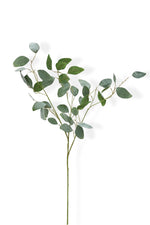 Artificial eucalyptus branch on a white background