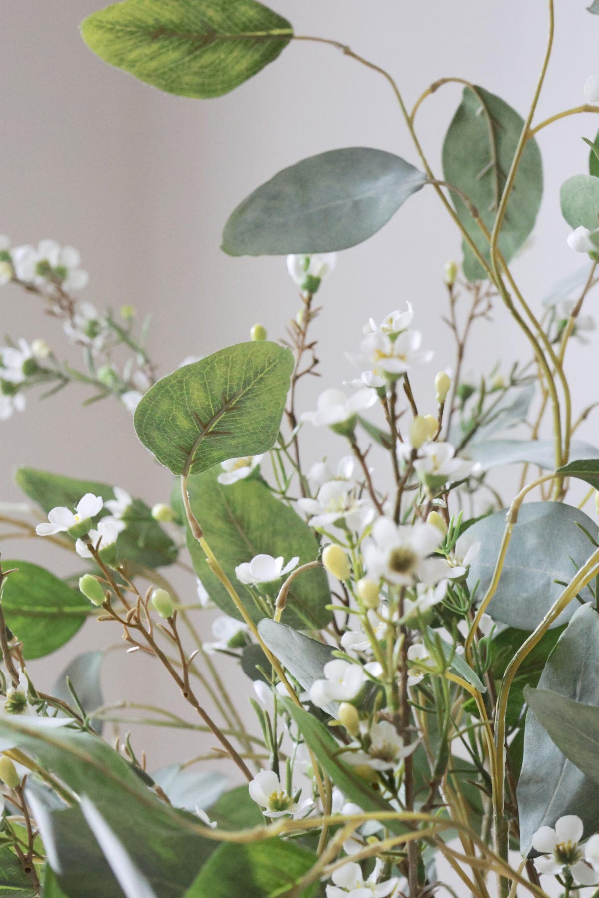 close up of silver green eucalyptus and waxflower stems
