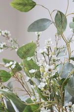close up of silver green eucalyptus and waxflower stems