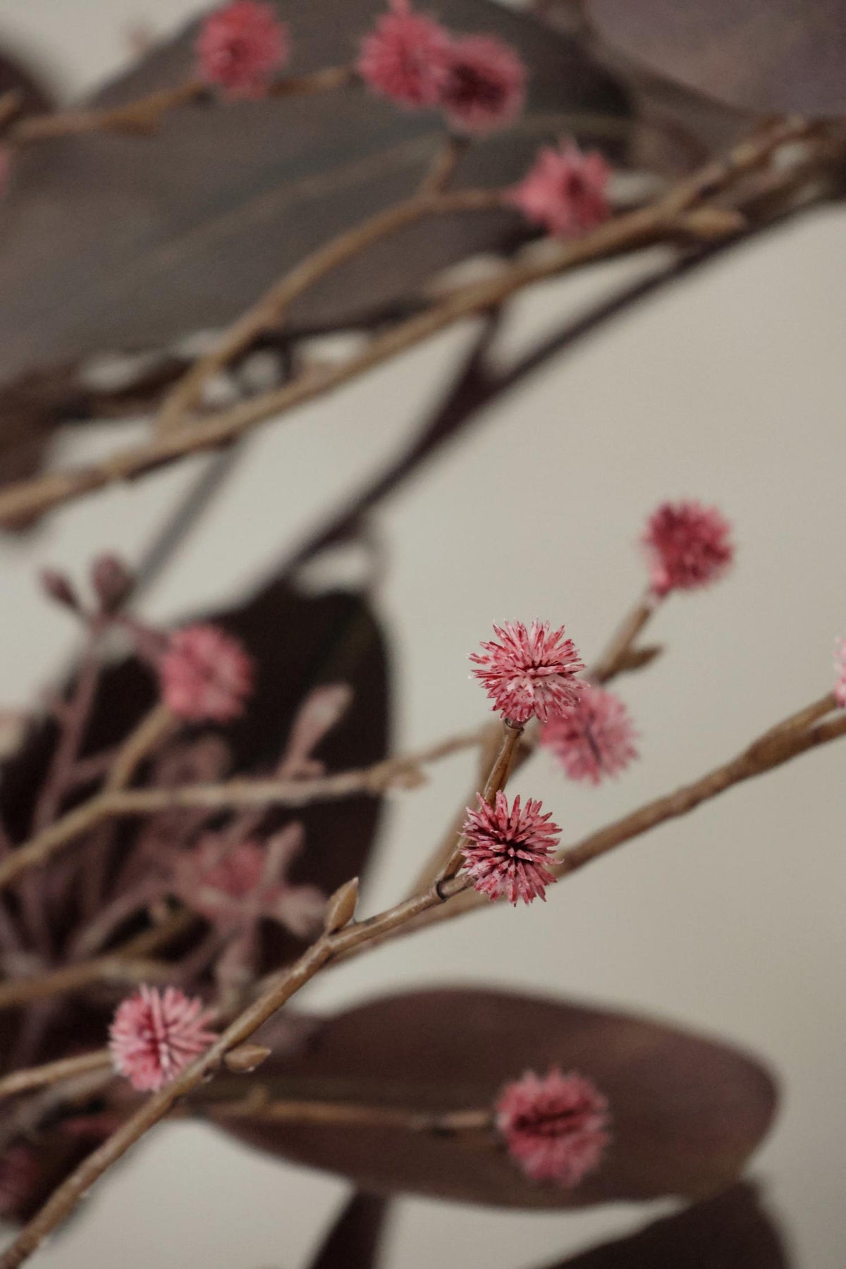 close detail of small pink spikey buds on a brown branch and twigs 