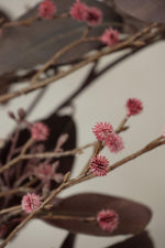 close detail of small pink spikey buds on a brown branch and twigs 