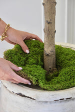 artificial green moss being arranged ontop of a planter 