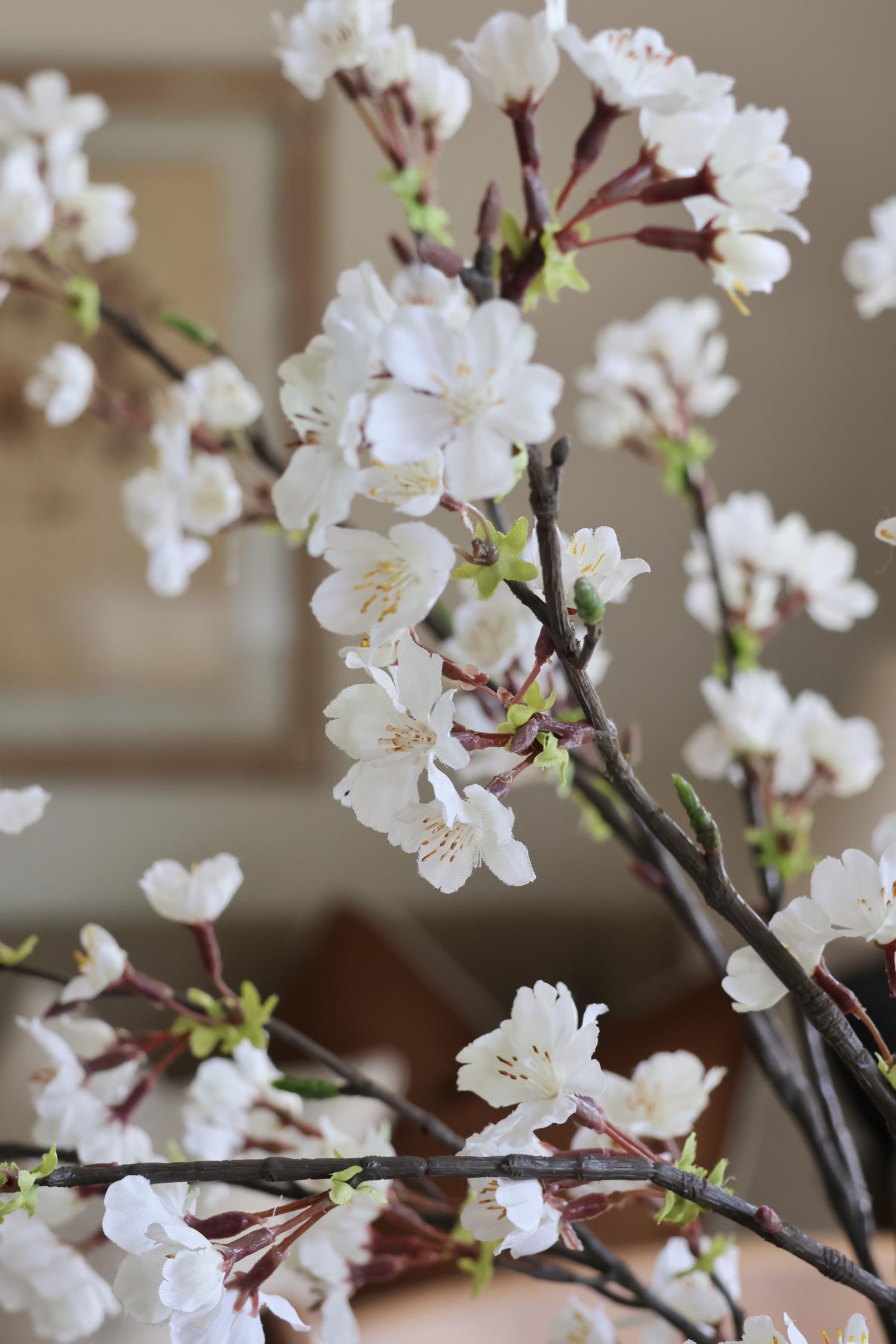 close up of delicate faux white cherry blossom flowers on brown branches with blurred background
