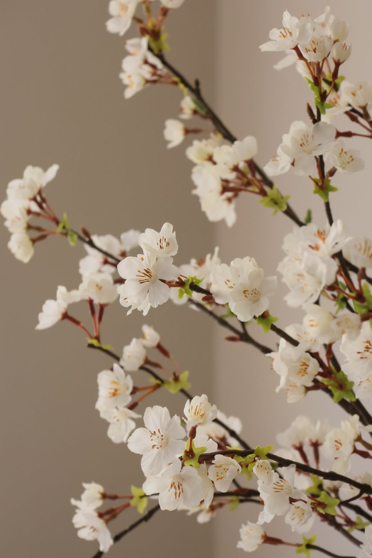 Close-up of faux white cherry blossoms against a neutral background