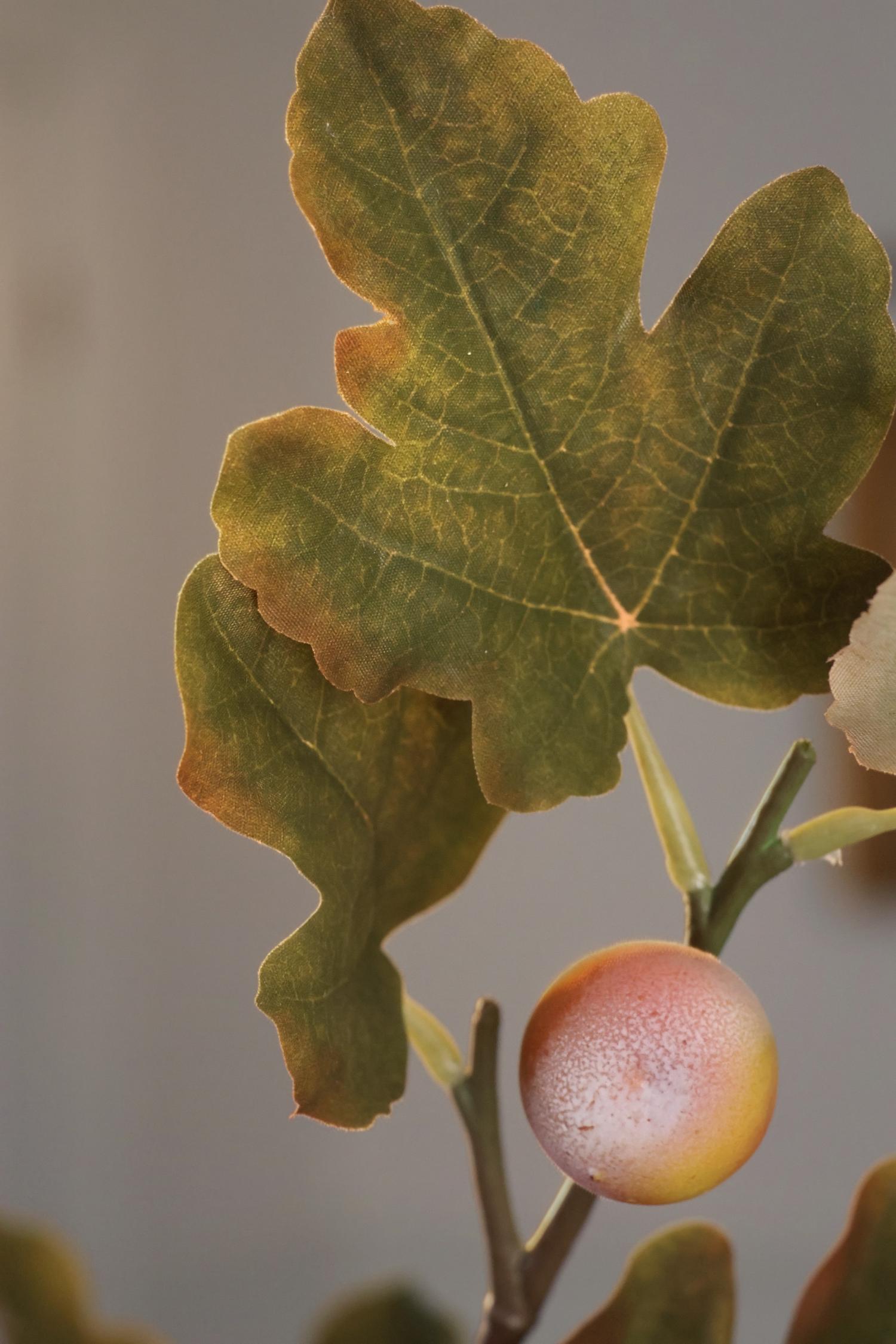 artificial fig leaf in muted greens and yellows on plain background 