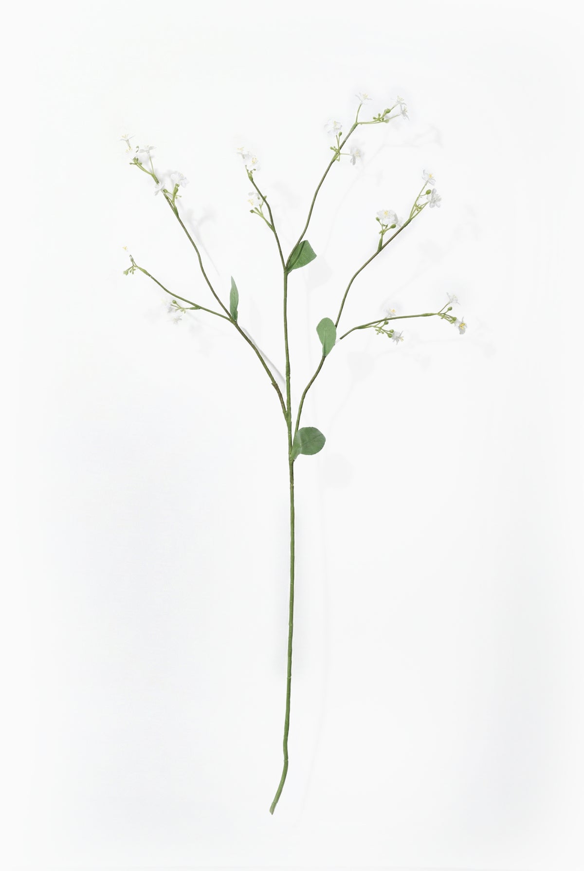 Artificial forget me not stem with small white flowers and green leaves on a white background