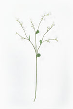 Artificial forget me not stem with small white flowers and green leaves on a white background