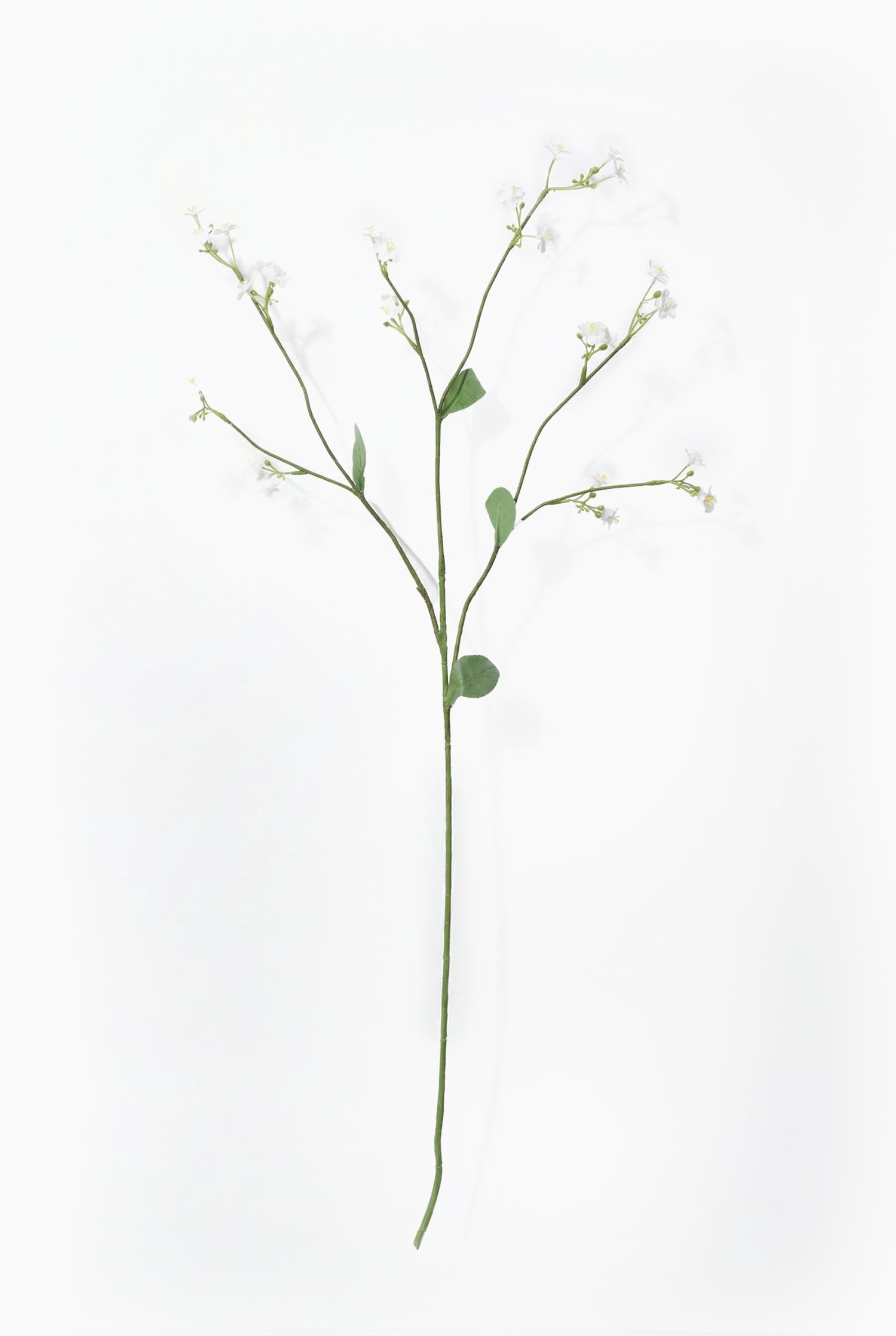 Artificial forget me not stem with small white flowers and green leaves on a white background