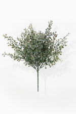 Artificial green eucalyptus bush on a white background