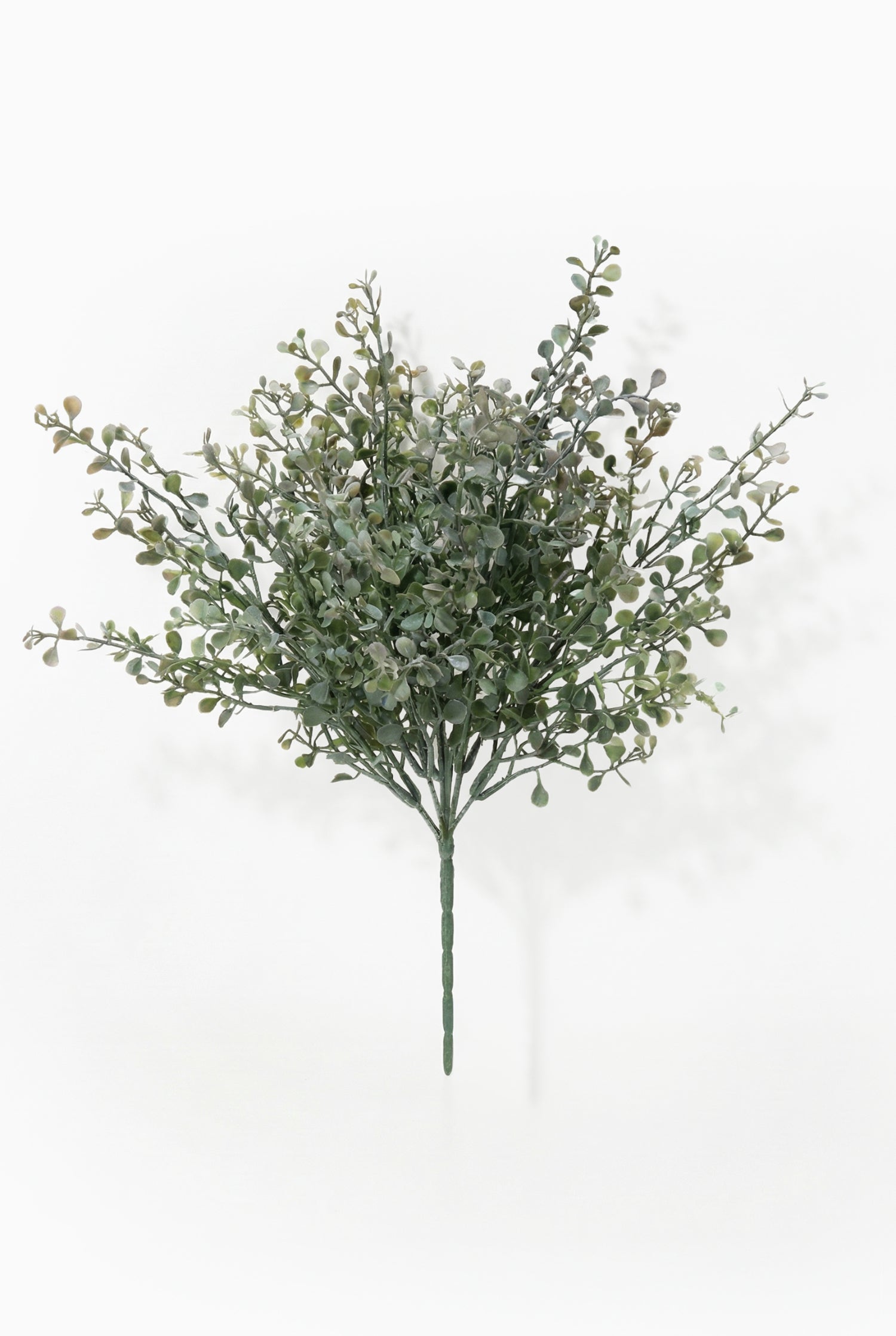 Artificial green eucalyptus bush on a white background