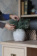 Person arranging faux eucalyptus bush in the bentley pot on a wooden shelf with books and decorative items.