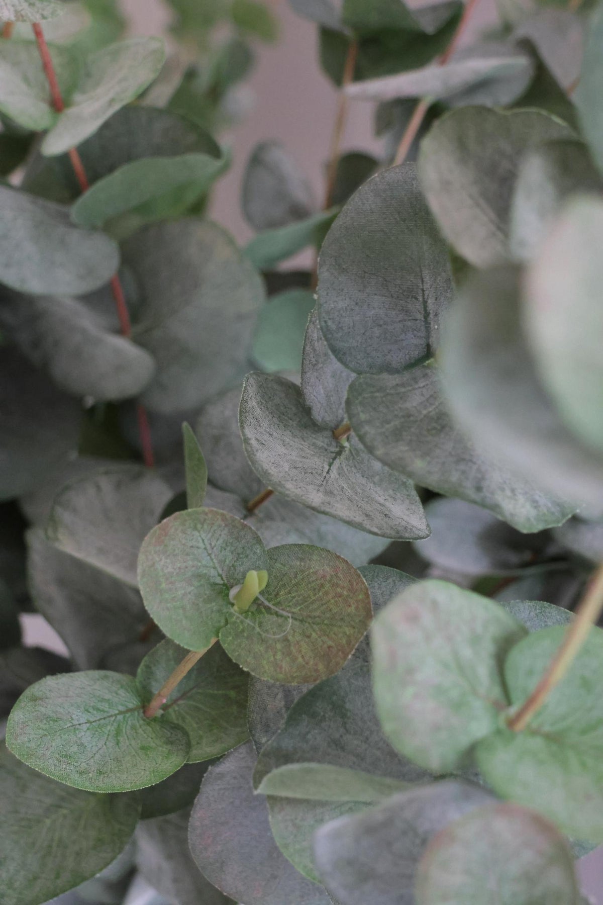 close up of artificial green eucalyptus stems 
