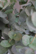 close up of artificial green eucalyptus stems 