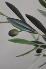 closeup of faux olive leaves and olive on plain background 