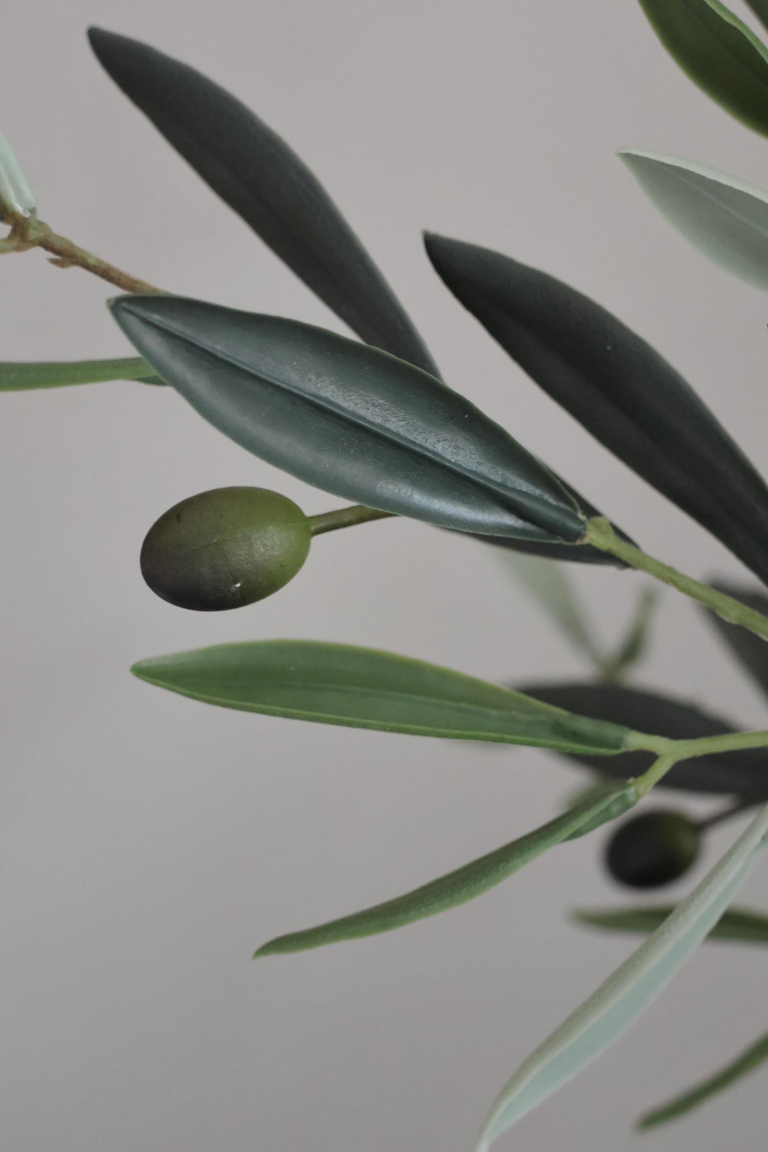 closeup of faux olive leaves and olive on plain background 