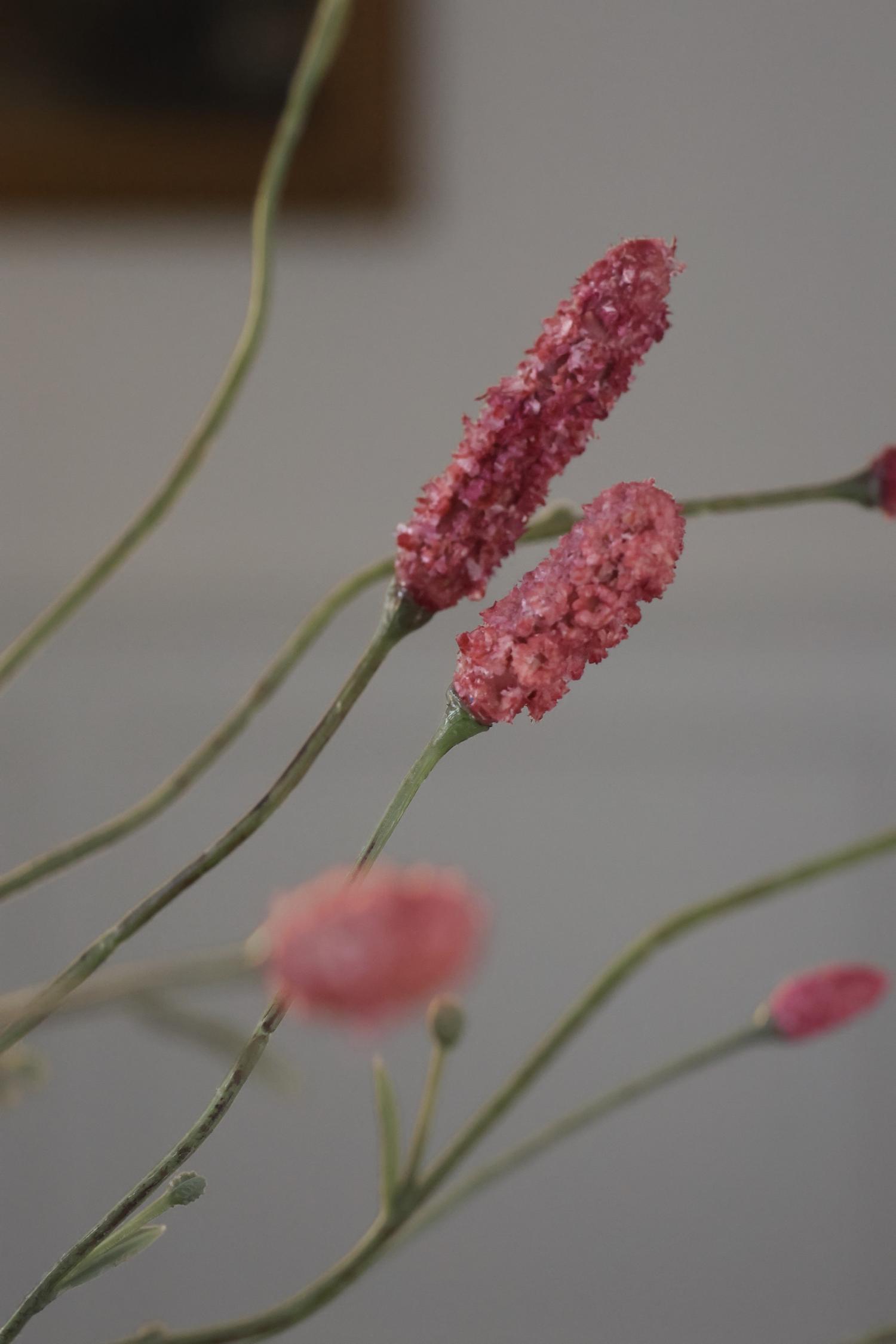 Dried-look artificial pink seed heads on long, thin green stems, photographed against a soft, out-of-focus neutral gray background.