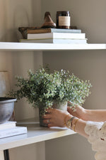 faux potted eucalyptus bush plant being placed on clean white shelving but ladies hands