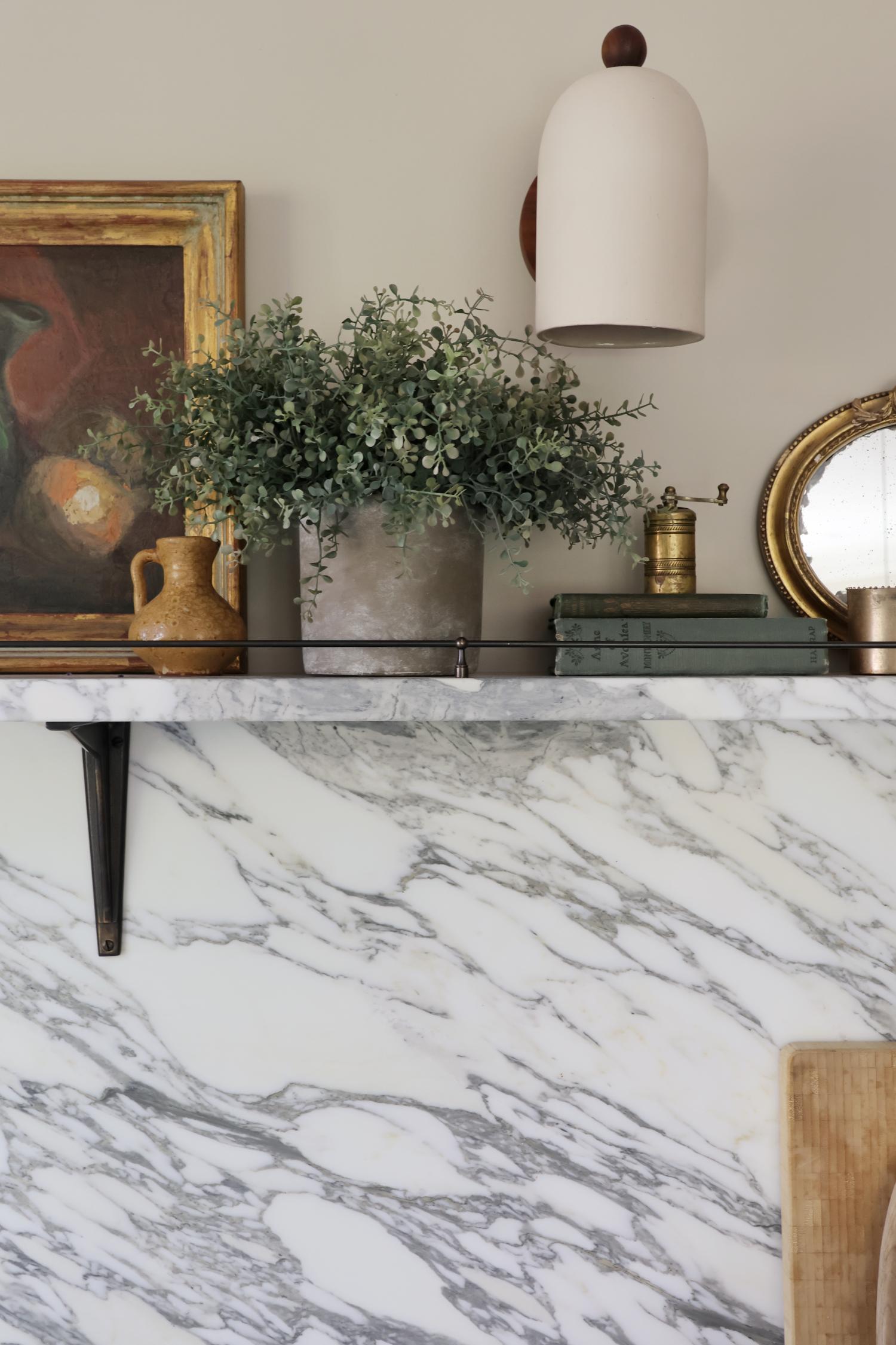 faux potted eucalyptus bush plant on a marble kitchen shelf with books and decorative items 