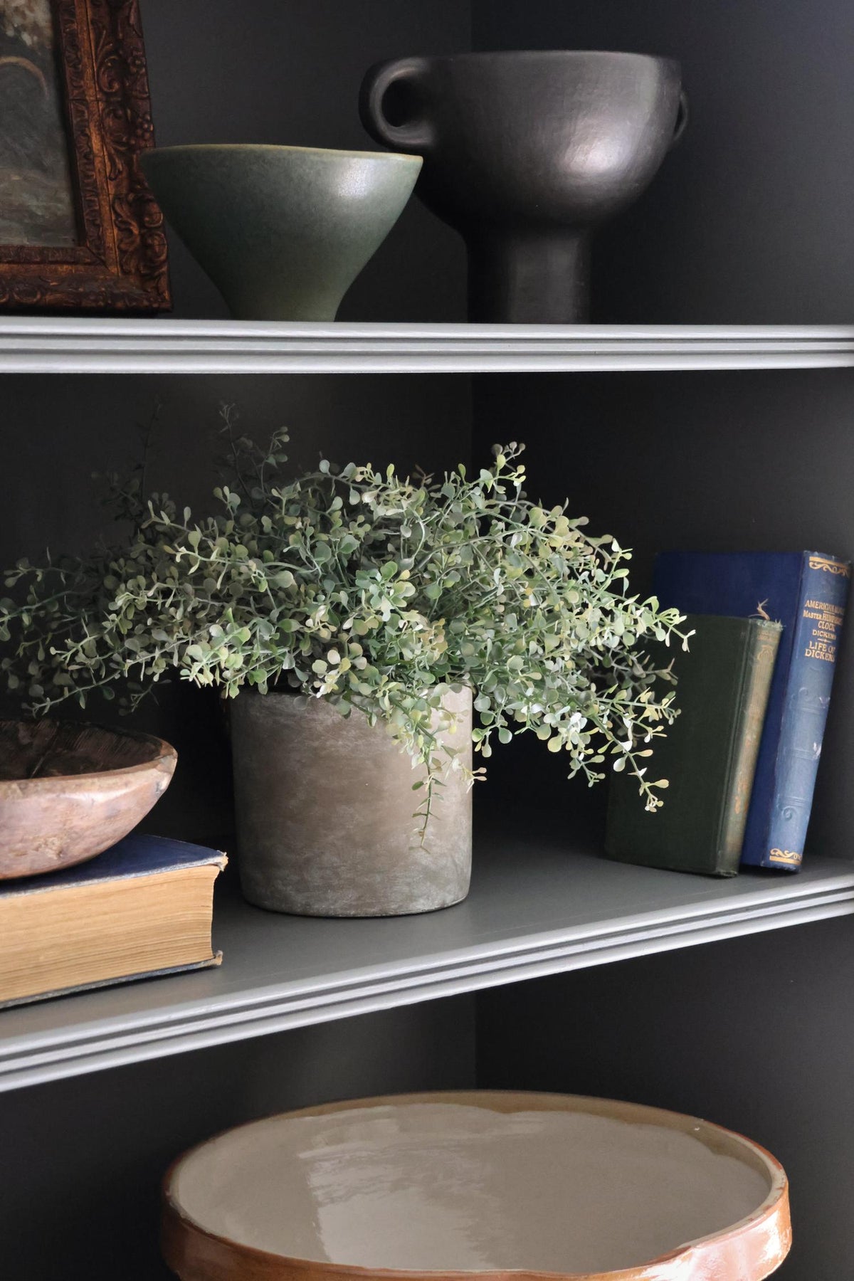 faux potted eucalyptus bush plant styled on dark blue shelves with books and vessels 