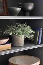 faux potted eucalyptus bush plant styled on dark blue shelves with books and vessels 