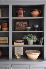 faux potted eucalyptus bush plant on dark blue shelving with other decorative items 